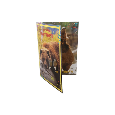 OEM Sound Greeting Cards CMYK Printing With Music Audio 210×148mm A5 Size