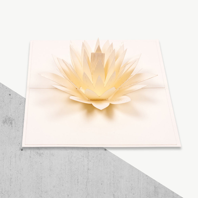 Printing 3D Pop Greeting Card White Water Lily ShapeのセリウムROHS FCC Certificatesを相殺しなさい